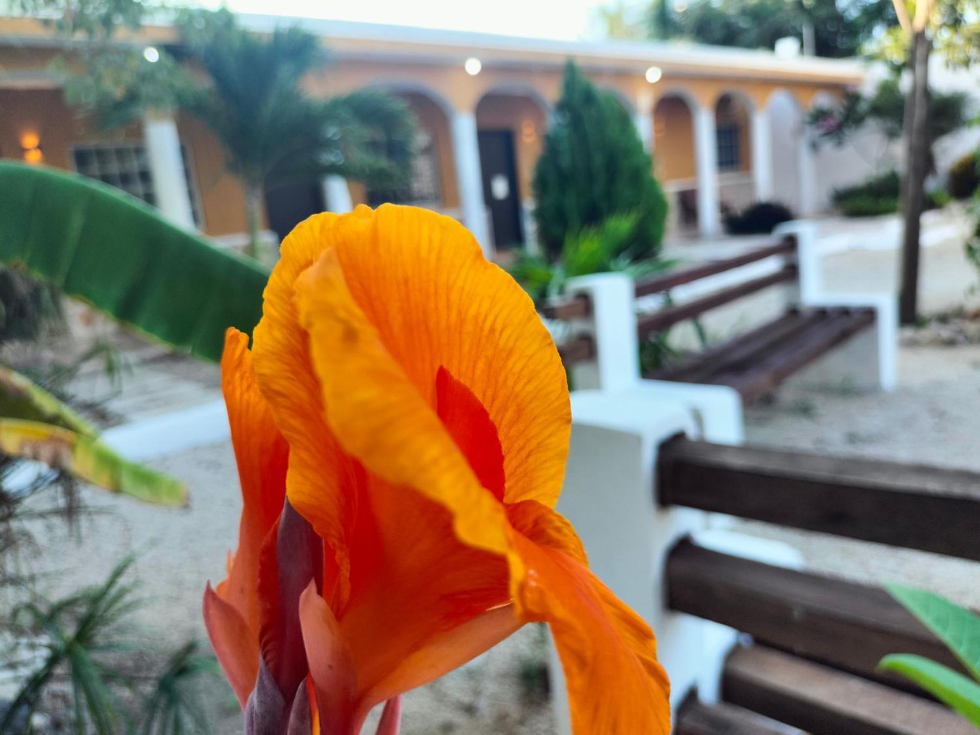 Villa Gabriela Celestun -Hotel & Restaurant Extérieur photo