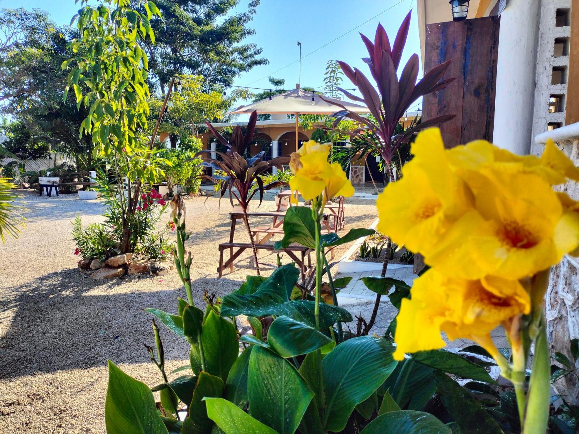 Villa Gabriela Celestun -Hotel & Restaurant Extérieur photo